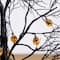 3ft. Pre-Lit Artificial Halloween Black Twig Tree with 18 Orange LED Pumpkin Shaped Lights